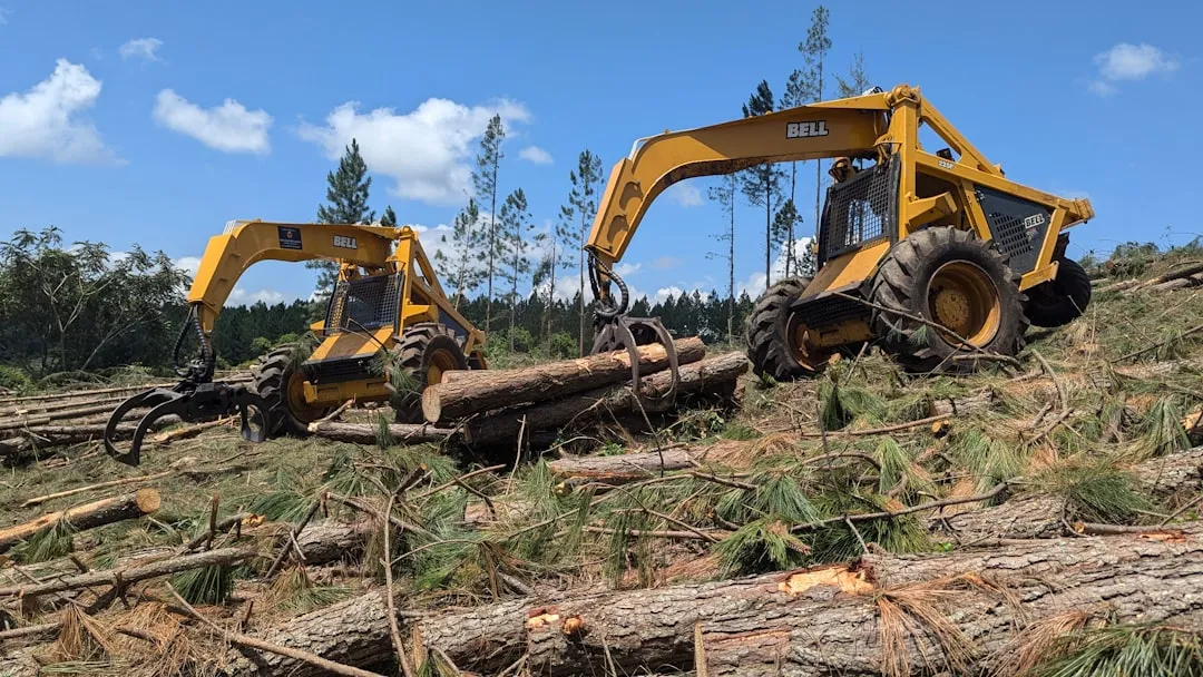 로깅(Logging) — AI 시스템 오류를 추적·기록하는 개발자의 눈